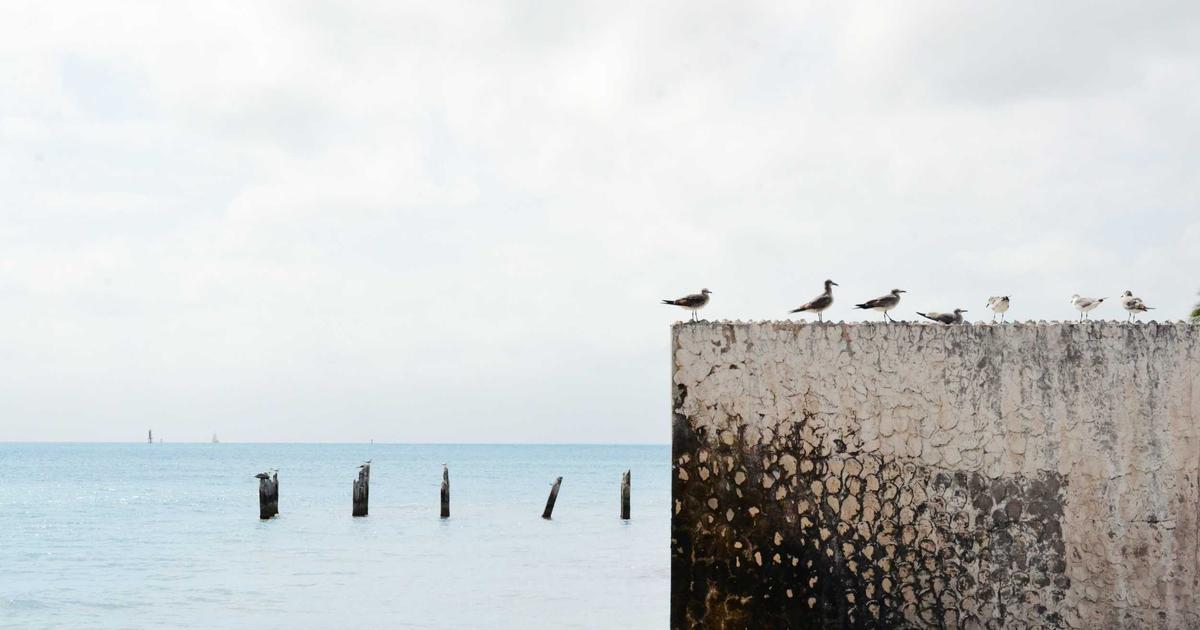 Comment choisir le lieu de réception idéal pour un mariage photographié à la perfection