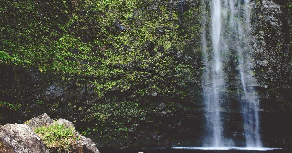 Mariage en Plein été : Comment Gérer la Chaleur pour des Photos et Vidéos Parfaites
