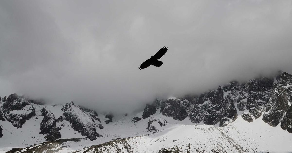 Comment la photographie immersive transforme l'expérience touristique en haute saison