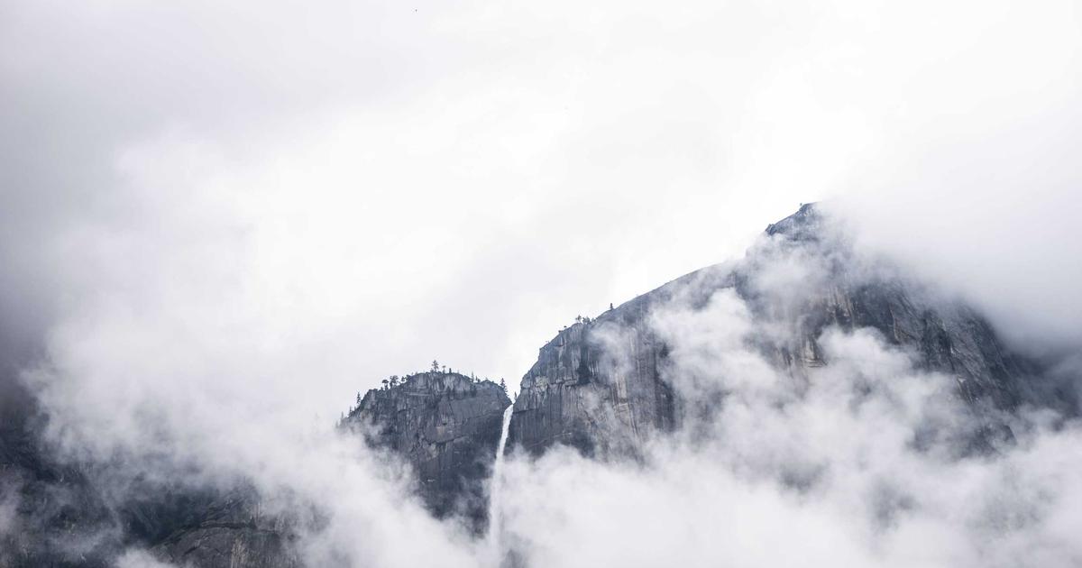Plateforme ou photographe indépendant : comment choisir pour votre mariage ou événement ?